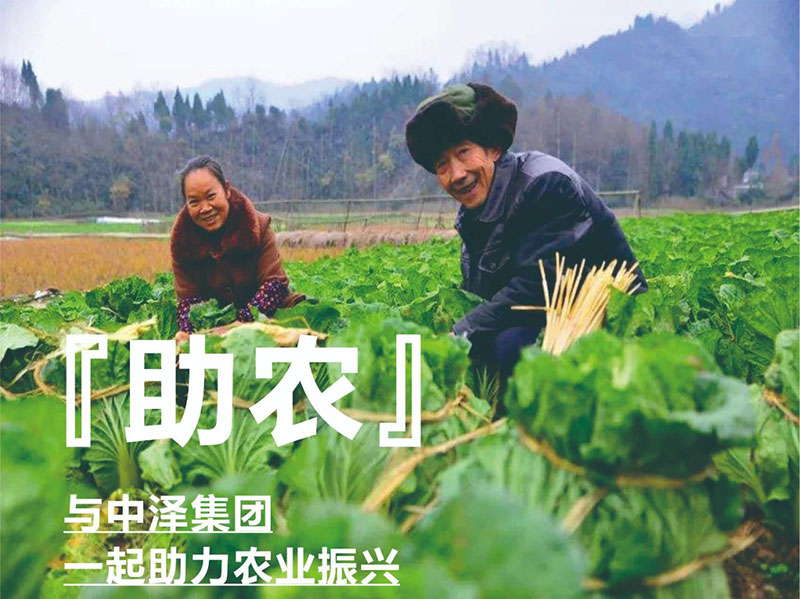 ������ũ��AG�������ж�