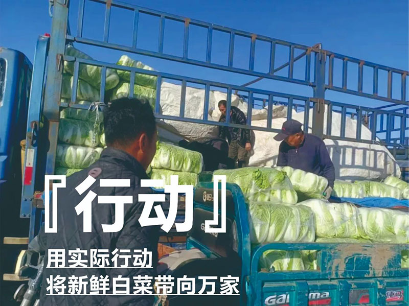 ������ũ��AG�������ж�