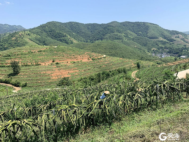 �𾢼����ൺ�з�ƶЭ���˶�